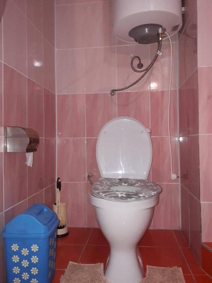 Kyzart Guesthouse Bagysh ภายนอก รูปภาพ