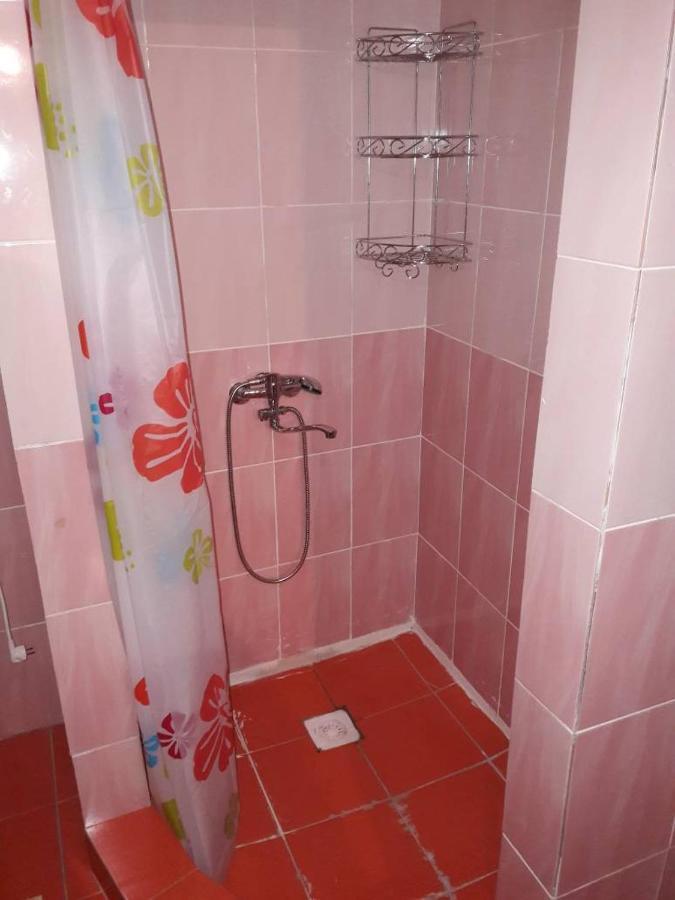 Kyzart Guesthouse Bagysh ภายนอก รูปภาพ